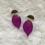 CASANDRA [Bougainvillea]